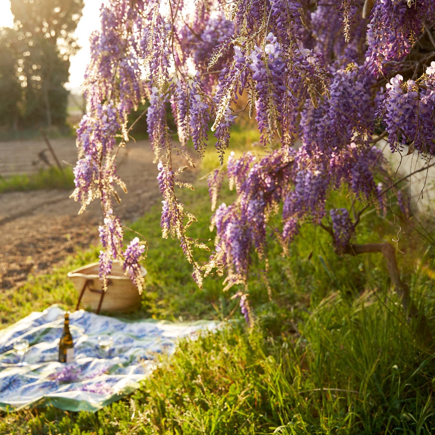 Wisteria Blue & Green Tablecloth